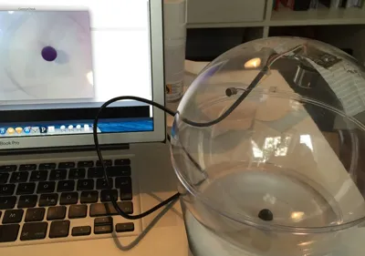Hot Sphere